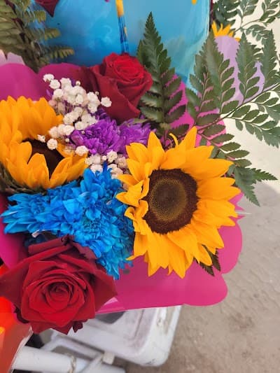 Sacramento Lemon Law Experts - Expertos en Ley Limón thumbnail